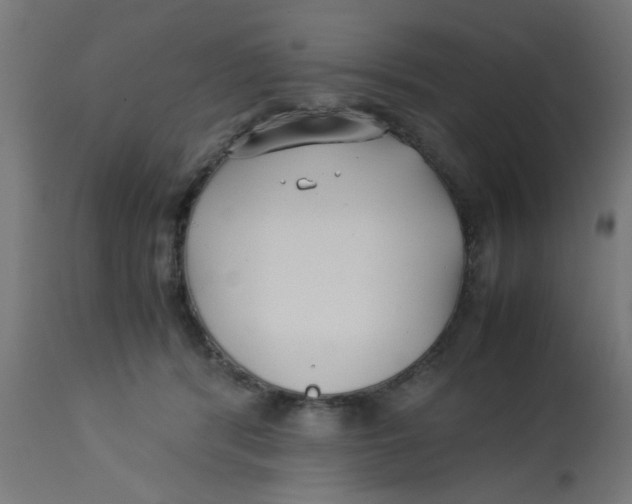 X0000113210416200910081322