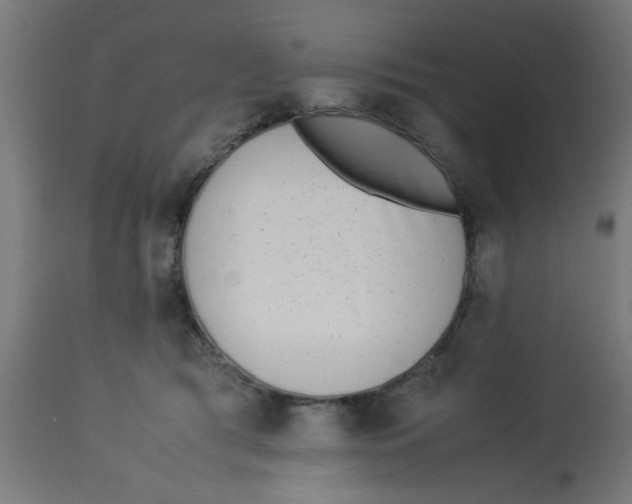 X0000113210417200910081322