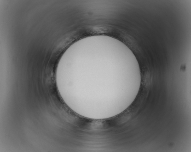 X0000113210418200910081322