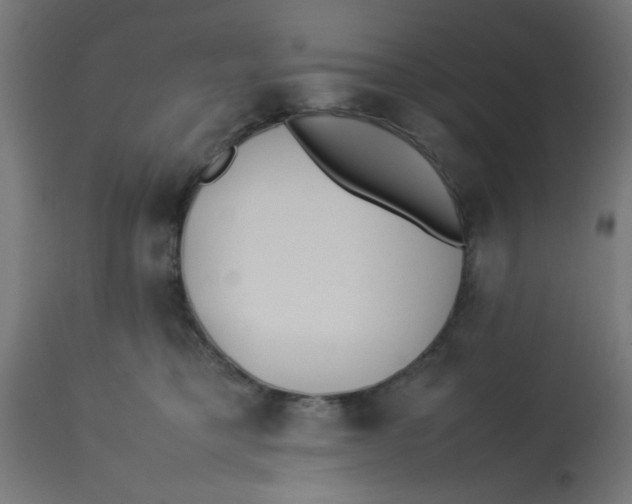 X0000113210421200910081322