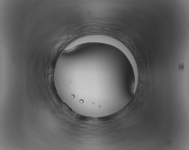 X0000113210423200910081322