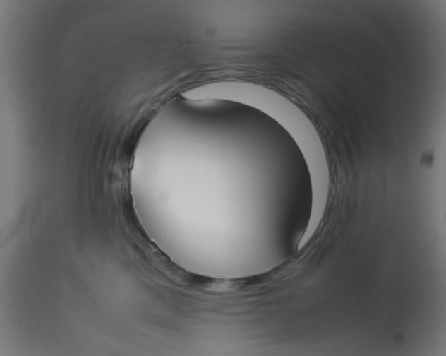 X0000113210425200910081322