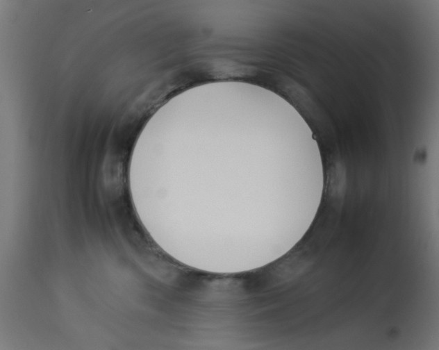 X0000113210426200910081322