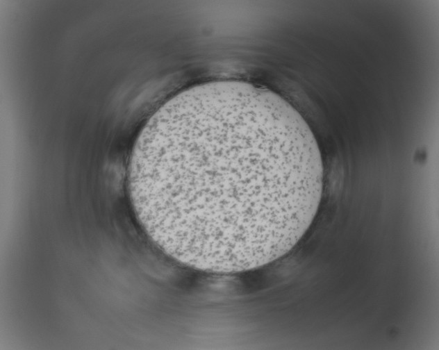 X0000113210427200910081322