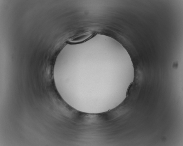 X0000113210428200910081322