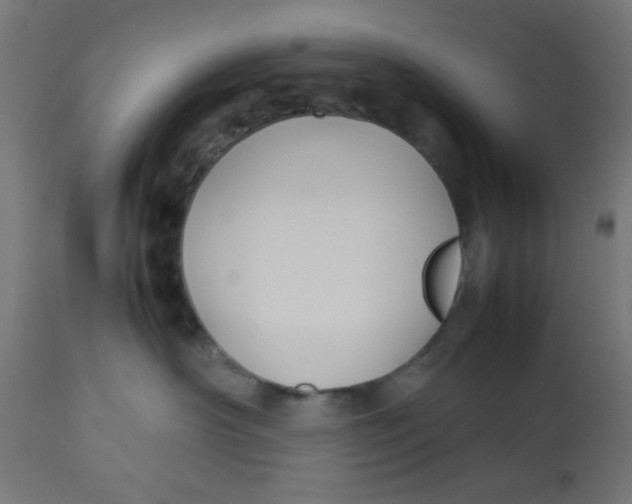 X0000113210430200910081322