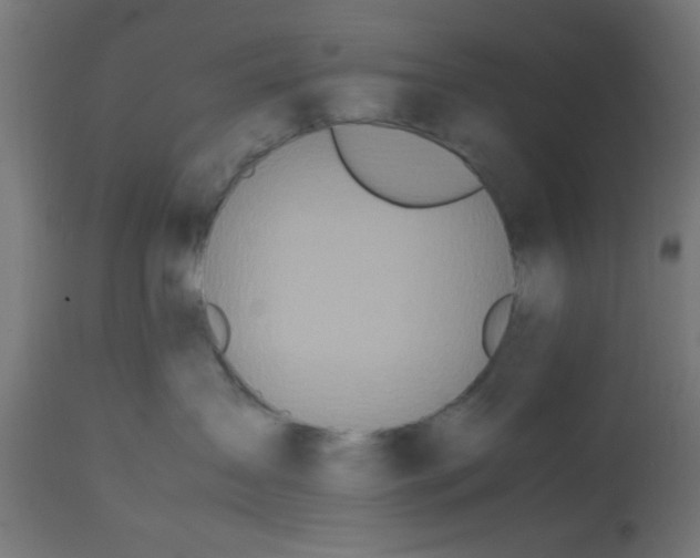 X0000113210431200910081322