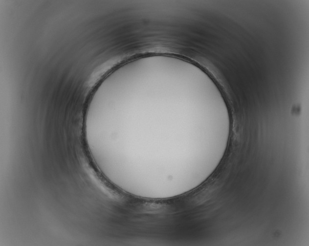 X0000113210437200910081321