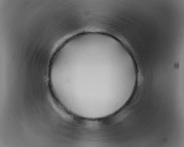 X0000113210438200910081321