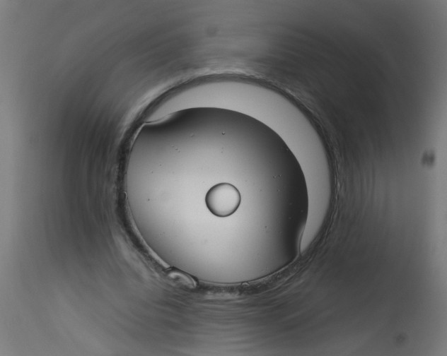 X0000113210440200910081321