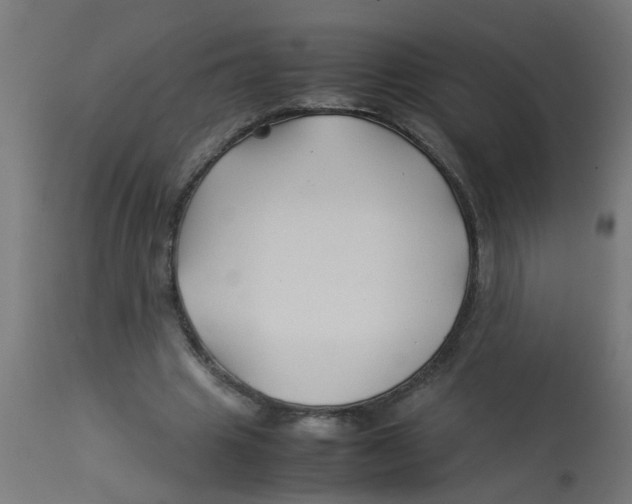 X0000113210441200910081321