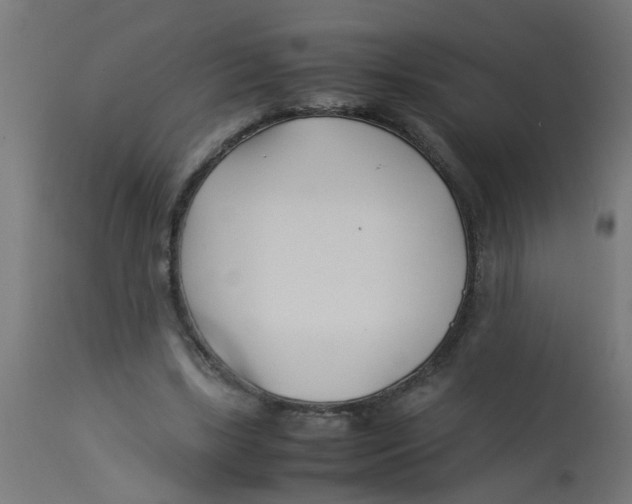 X0000113210443200910081321