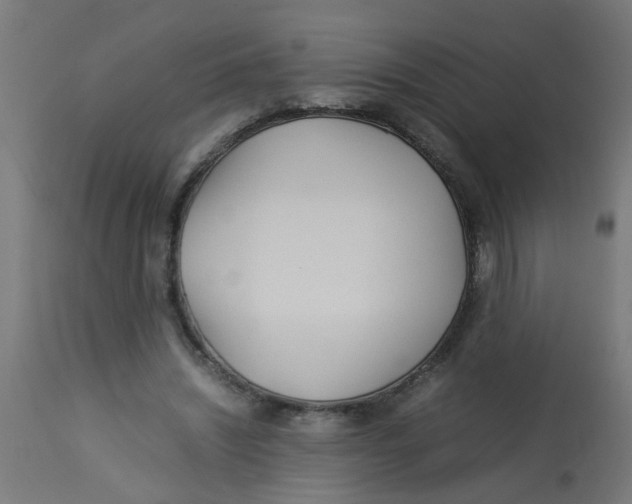 X0000113210444200910081321