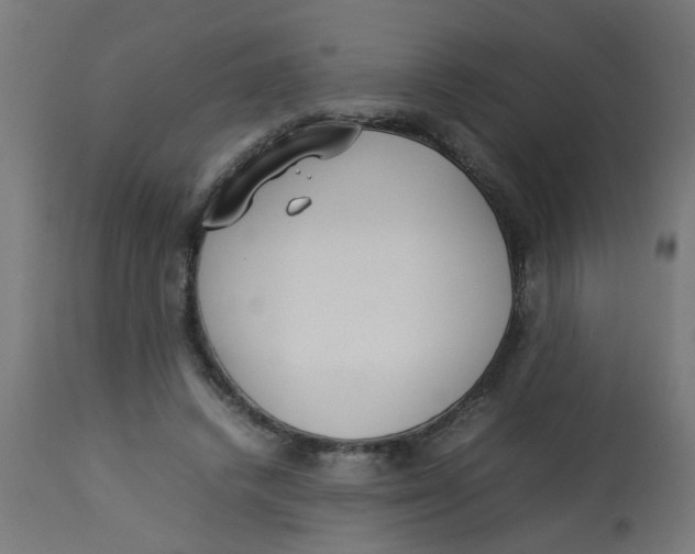 X0000113210448200910081321