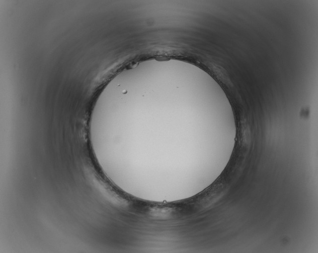 X0000113210450200910081321