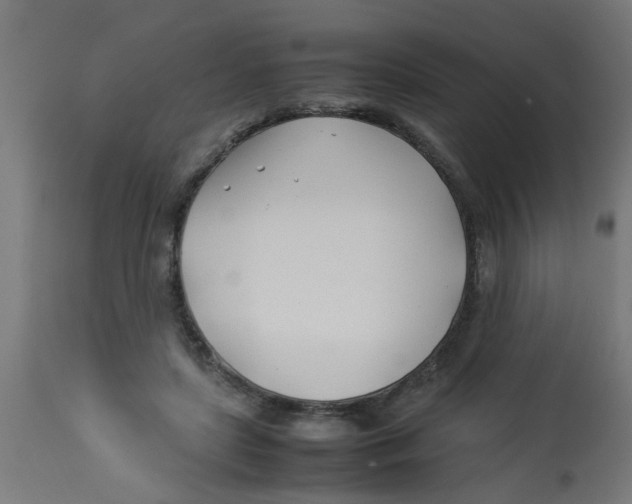 X0000113210451200910081321