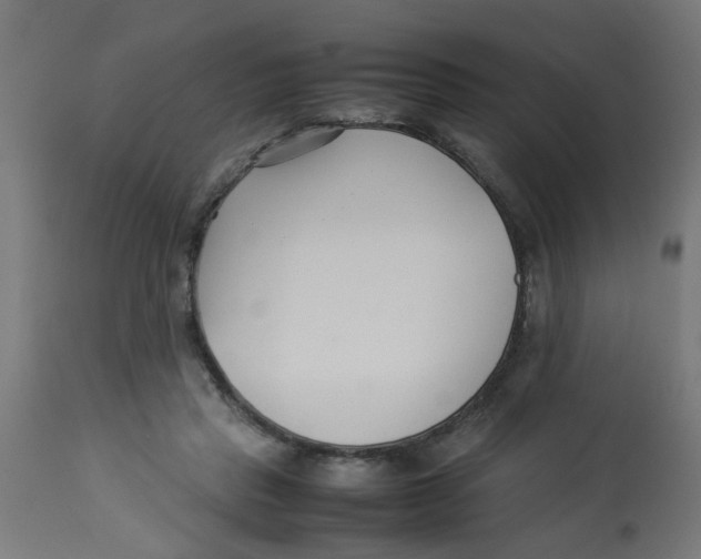 X0000113210453200910081321