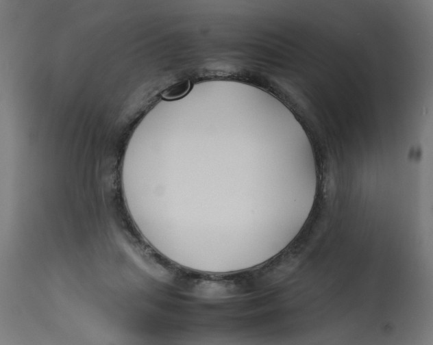 X0000113210455200910081321