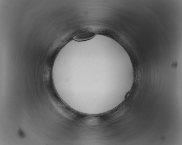 X0000113210456200910081321