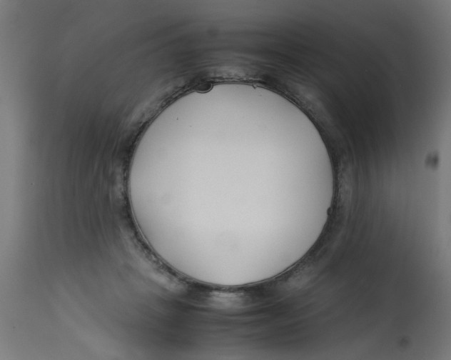 X0000113210457200910081321