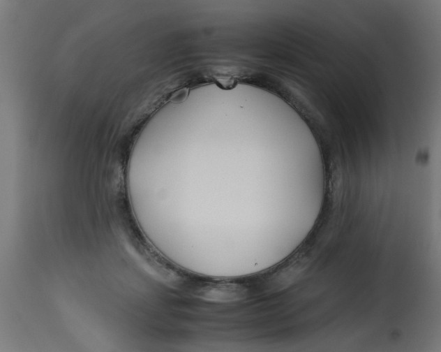 X0000113210459200910081321