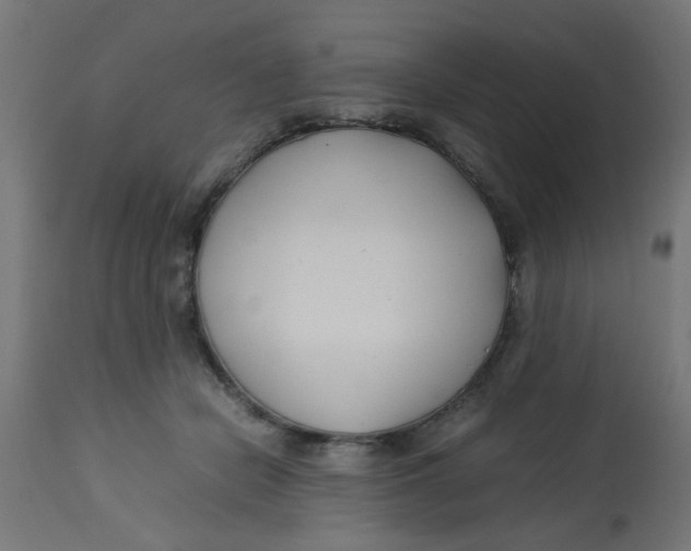 X0000113210462200910081321