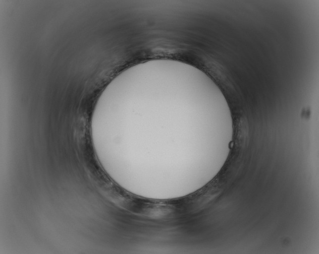 X0000113210463200910081321