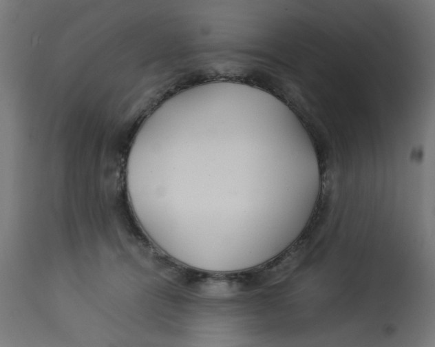 X0000113210464200910081321