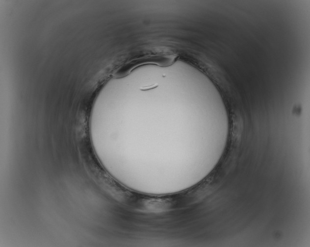 X0000113210465200910081321