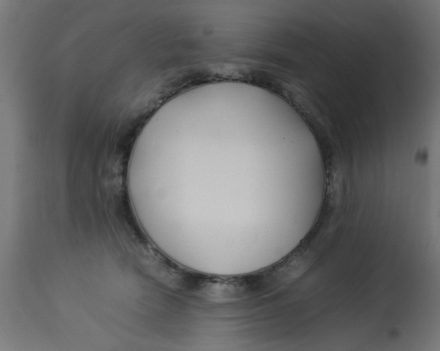 X0000113210466200910081321