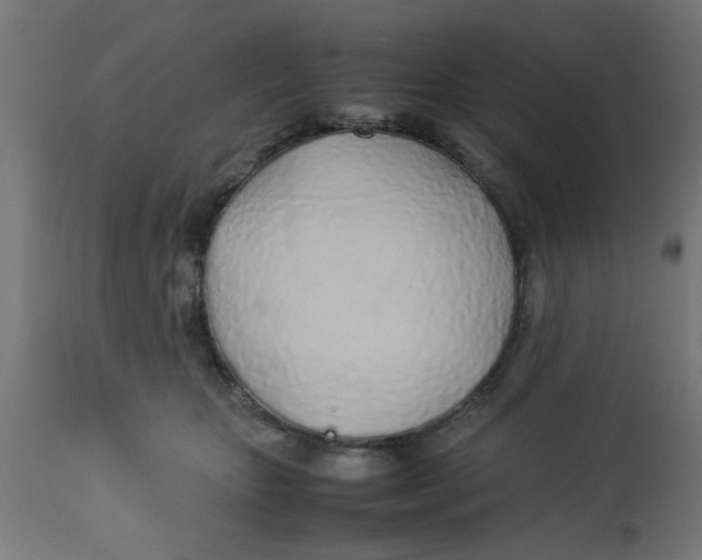 X0000113210467200910081321