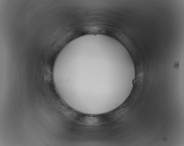 X0000113210469200910081321