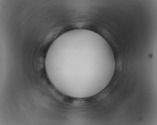 X0000113210470200910081321