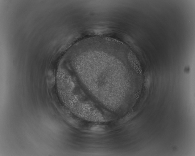 X0000113210471200910081321