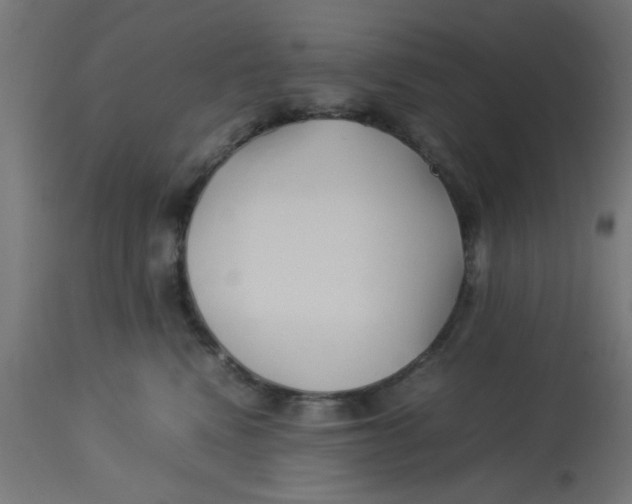 X0000113210472200910081321