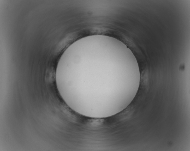 X0000113210474200910081322