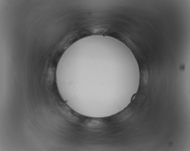 X0000113210475200910081322