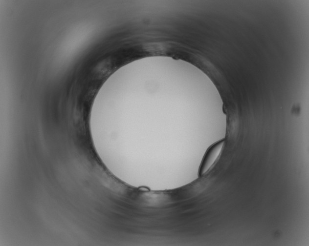 X0000113210477200910081322