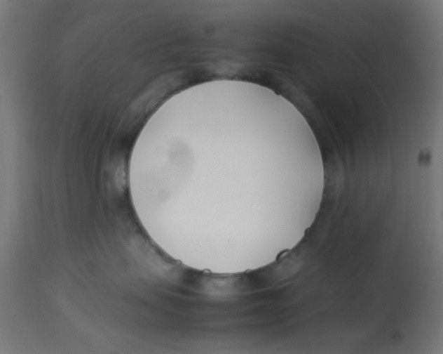 X0000113210479200910081322