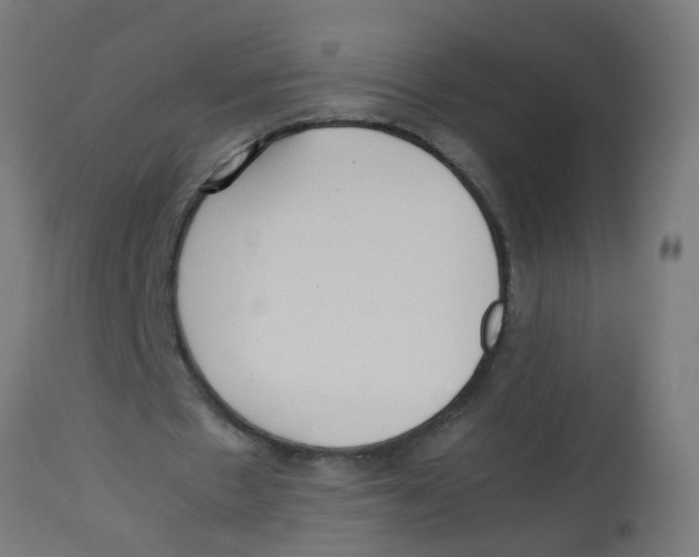 X0000113210481200910081321