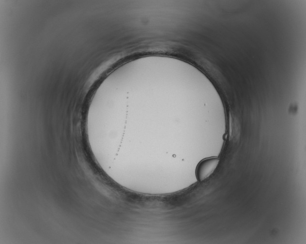 X0000113210483200910081321