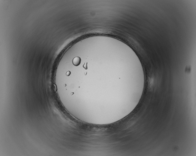 X0000113210484200910081321