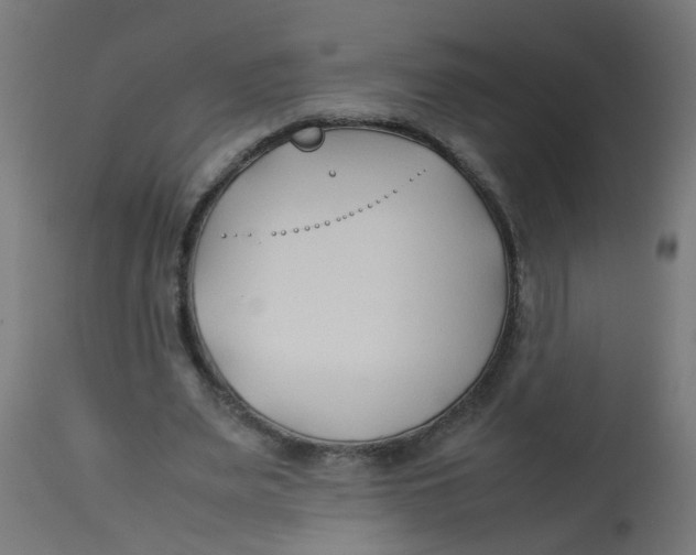 X0000113210487200910081321