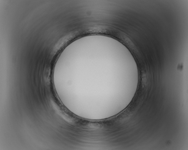 X0000113210490200910081321