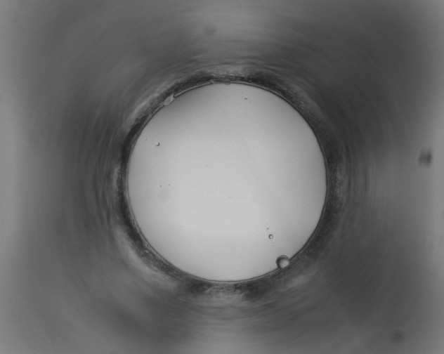 X0000113210491200910081321