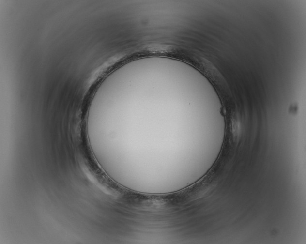 X0000113210492200910081321