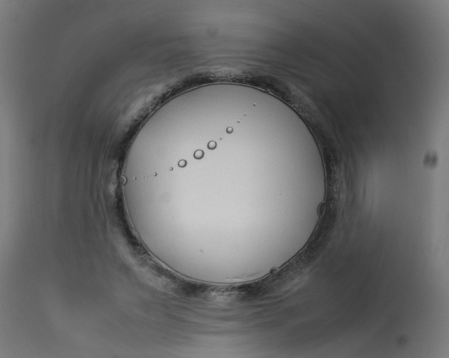 X0000113210495200910081321