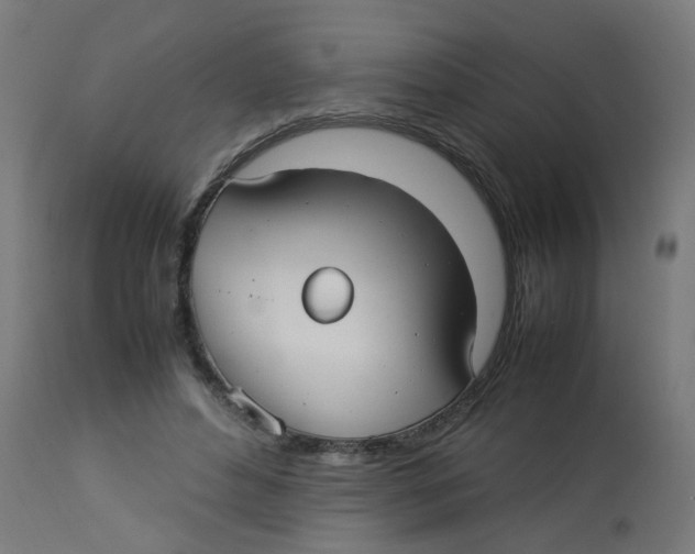 X0000113210496200910081321