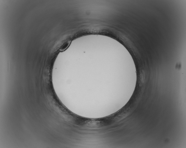 X0000113210497200910081321