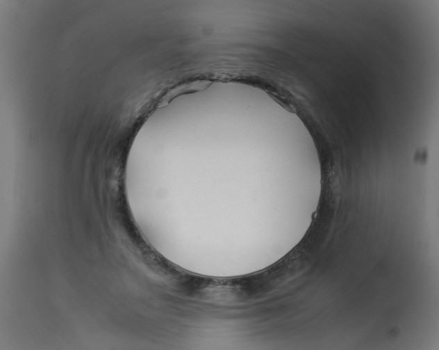 X0000113210499200910081321